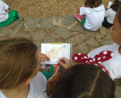 Y4Camp4